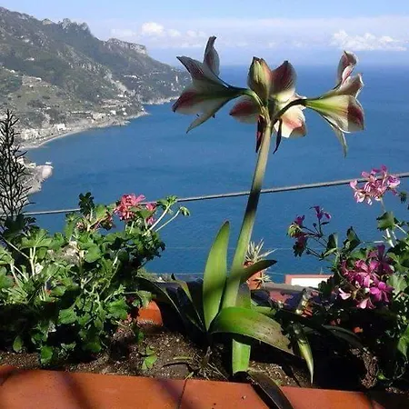 Bellavista *